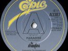 The Stranglers Paradise/Pawsher Promotional 7