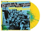Dropkick Murphys 11 Short Stories LP Color Vinyl Newbury Comics Exclusive