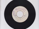 FREE THE PEOPLE  -  BRUCE RUFFIN  (71 REGGAE ROOTS 7
