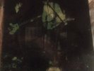 Feathers [Double LP Gatefold] by Dead Meadow (Vinyl, Feb-2005, Matador)