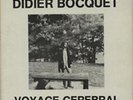 Didier Bocquet Voyage Cerebral UK vinyl LP album record FLVM3012 F.L.V.M. 1979