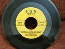 Endeavors J&S 254/255 