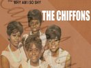 60S US R/B GIRL GROUP SOUND LAURIE THE CHIFFONS ONE FINE DAY PICTURE SLEEVE