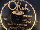 Okeh 8810  Mississippi Sheiks BACK TO TENNESSEE E-/VV+ 78 rpm 1930