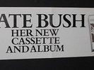 Kate Bush Dreaming Original 1982 EMI Instore UK Record Shop Banner