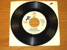 PROMO SOUL 45 RPM - THE WILLOW BAND - EPIC 50252 - 
