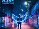 The Script : Freedom Child VINYL 12