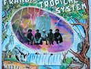 LP FRANCISCO TROPICAL SYSTEM 