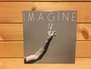 Pearl Jam 2014 Christmas Single Imagine Vinyl Holiday Fan Club