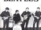 Beatles,The - Take Good Care Of My Baby (One Sided Single - Demo Disc)