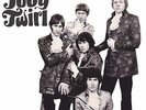TOBY TWIRL 180g vinyl LP + MP3 NEW pop psych Beatles Steppenwolf Guess Who
