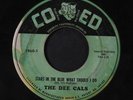 DEE CALS: Stars In The Blue What Should I Do / A Wonderful Day 45 (wol, stained