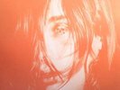 DEERHUNTER - Microcastle - Vinyl (gatefold 2xLP)