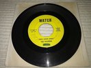 THE PAUPERS she's gone away WATCH 45 CRUDE UNKNOWN TEEN GARAGE b/w TEENER HEAR