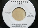 DOROTHY WILLIAMS The Well's Gone Dry USA 7