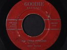 JERRY HILTON & DIADEMS: My Little Darling / Dancing On Moonbeams 45 Hear  (lbl