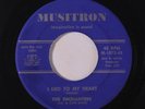 ENCHANTERS: I Lied To My Heart / Talk While You Walk 45 Vocal Groups