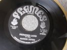 The Nairobi Sisters Promised Land afro-funk 45 on Flames ATCQ sample mp3