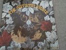 SMALL FACES  AUTUMN STONE FIRST U.K PINK IMMEDIATE PRESS MOD.