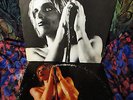 ORGASMIC  IGGY & THE STOOGES   RAW POWER '73 RAW & WILDLY CRUDE DOCUMENT ON FIRE