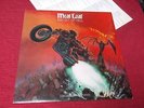 Meat Loaf:  Bat Out of Hell  orig 1977  UK  NEAR MINT   LP  + lyric sheet  A6/B5