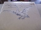 Sufjan Stevens - Seven Swans - LP Vinyl // Neu  // inkl. 7