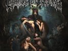 CRADLE OF FILTH - HAMMER OF THE WITCHES - NEW VINYL LP