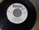 The Mighty Scepters Hey Lady/The Big Let Down rare sweet/70s soul on Earth mp3