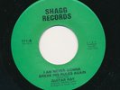 Guitar Ray Shagg 711 E R&B funk 45 You're Gonna Wreck My Life b/w I Am Never