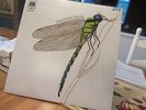 THE STRAWBS DRAGONFLY LONDON UK IMPORT A&M EARLY PRESSING VINYL LP ALBUM