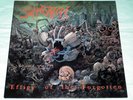 LP SUFFOCATION - EFFIGY OF THE FORGOTTEN  ORIGINAL 1st EDITION 1991 R/C