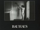 Bauhaus - In The Flat Field  * I.A.D.(189g Vinyl LP),2008 4AD