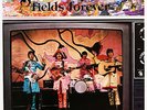 BEATLES LP   STRAWBERRY FIELDS FOREVER  * ULTRASONIC CLEANED * Nems Records 1982
