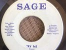 THE EPICS TRY ME/HOLD ON IM COMING  VIRGINIA NORTHERN DEEP SOUL UNKNOWN