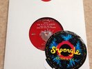 SHPONGLE - The Raja Rambles 2017 FLEXI DISC (Ambient, Trance, Goa) Twisted rec.