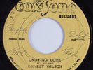 Reggae 45 ERNEST WILSON Undying Love COXSONE HEAR