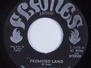 Reggae 45 NAIROBI SISTERS Promised Land FLAMES HEAR