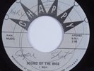 Reggae 45 U-ROY Sound Of The Wise CHAPPY HEAR
