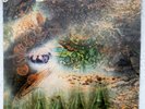 Pink Floyd A Saucerful of Secrets 12