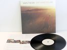 SAVES THE DAY stay what you are Lp Vinyl Record with lyrics insert