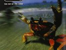 2LP THE PRODIGY THE FAT OF THE LAND VINYL