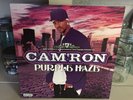 Cam'ron - Purple Haze - 2004 Roc-A-Fella PROMO Purple Vinyl 2x LP Album NM