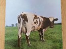 Pink Floyd - Atom Heart Mother UK Press vinyl LP