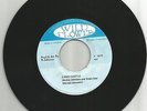HORACE JOHNSON / SAND CASTLE / VERSION / 7''/ VG+