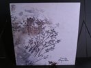 SIGUR ROS HOPPIPOLLA 12