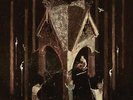 Wolves In The Throne Room - Thrice Woven (LIMITED Grey/Clear Swirl Vinyl) V NEU