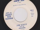 Jim Scott with The Crusaders 