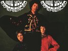 Jimi Hendrix - Are You Experienced MONO 180g vinyl LP NEW/SEALED