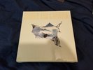 Coheed and Cambria - The Color Before The Sun Deluxe Box Set