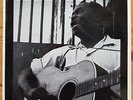 Robert Pete Williams - Those Prison Blues - LP Vinyl
